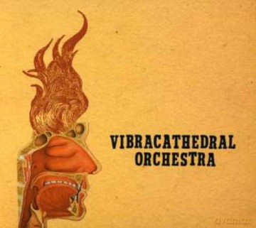 Vibracathedral Orchestra: Wisdom Thunderbolt [CD]