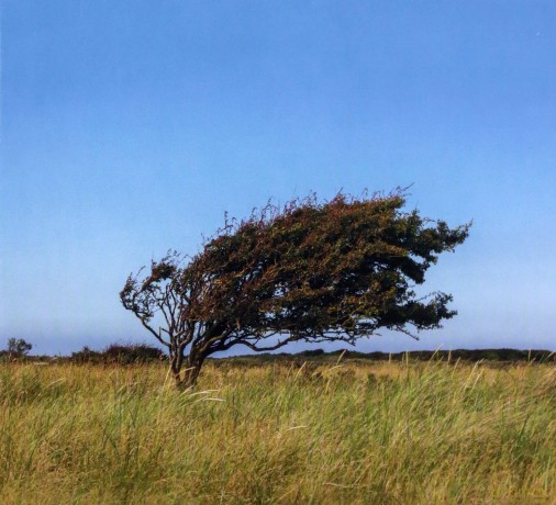 Bjorn Riis: A Fleeting Glimpse [CD]