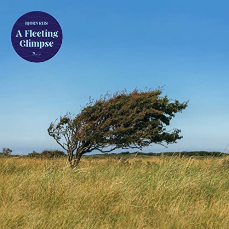 Bjorn Riis: A Fleeting Glimpse (Blue) [Winyl]