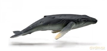 Humbak młody 88963 COLLECTA [FIGURKA]