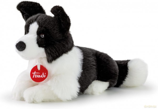 Maskotka Border Collie TUDN7000