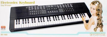 Organy funkcyjne 500689