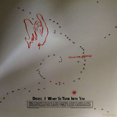 Caroline Polachek: Desire I Want To Turn Into You [Winyl]