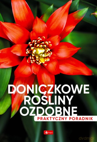 Doniczkowe rośliny ozdobne. Poradnik praktyczny [KSIĄŻKA]