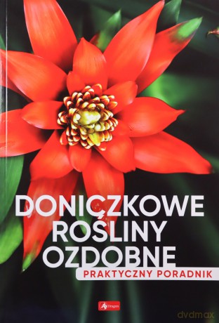 Doniczkowe rośliny ozdobne. Poradnik praktyczny [KSIĄŻKA]