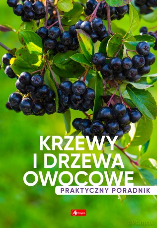 Krzewy i drzewa owocowe. Poradnik praktyczny [KSIĄŻKA]