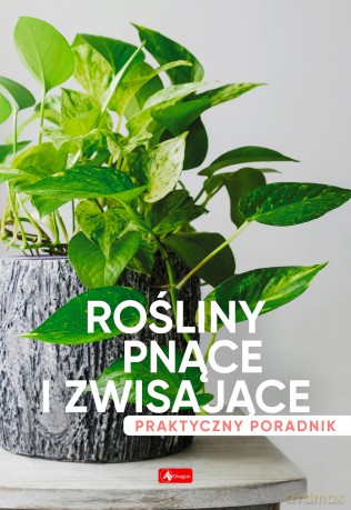 Rośliny pnące i zwisające. Poradnik praktyczny [KSIĄŻKA]