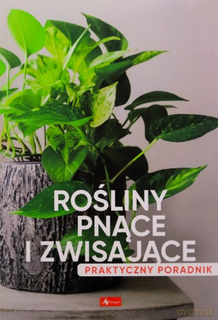 Rośliny pnące i zwisające. Poradnik praktyczny [KSIĄŻKA]