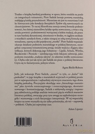Regiony pojedynczych herezji - Piotr Sadzik [KSIĄŻKA]