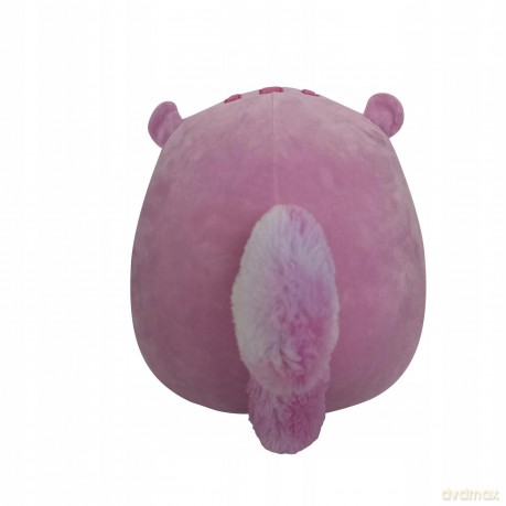 Squishmallows Wiewiórka Alina, Plusz, 19 cm