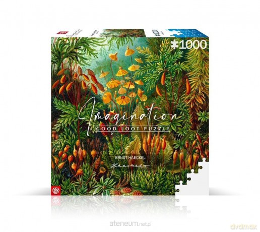 COBBLE HILL 1000 el. Imagination Puzzle: Ernst Haeckel Muscinae [PUZZLE]