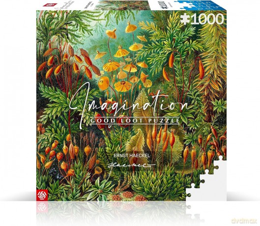 COBBLE HILL 1000 el. Imagination Puzzle: Ernst Haeckel Muscinae [PUZZLE]