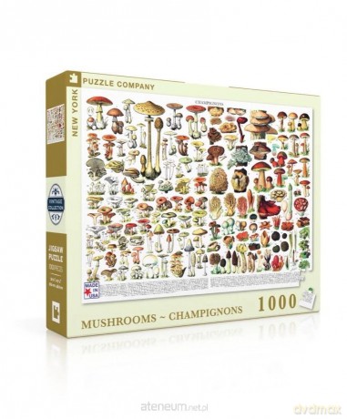 COBBLE HILL 1000 el. Grzyby, Collage [PUZZLE]