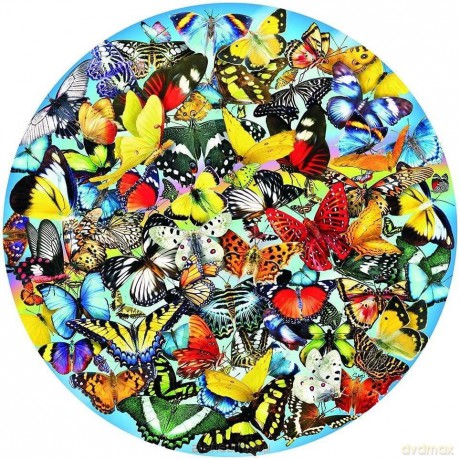 COBBLE HILL 1000 el. Motyle,Lori Schory [PUZZLE]