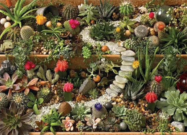 COBBLE HILL 1000 el. Ogród pełen kaktusów [PUZZLE]