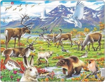 COBBLE HILL Układanka Arktyka w głębi lądu Maxi [PUZZLE]