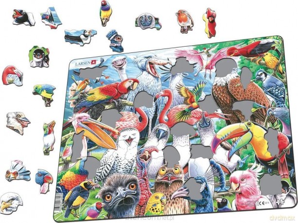 COBBLE HILL Układanka Wesołe ptaki świata Maxi [PUZZLE]