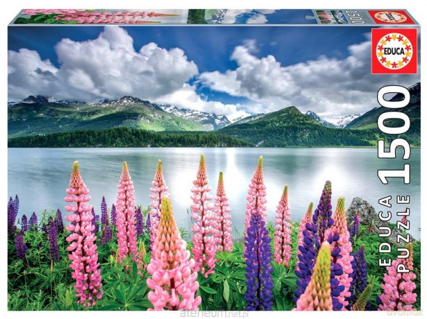 EDUCA 1500 el. Jezioro Sils/Szwajcaria [PUZZLE]