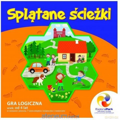 Gra logiczna Splątane ścieżki [GRA]