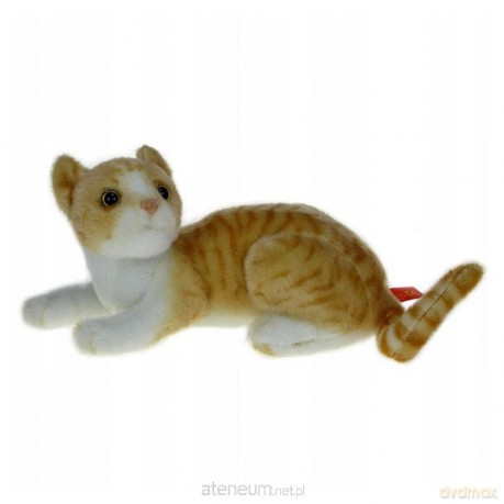 Kot biało brązowy 30 cm