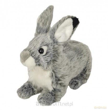 Króli szary 28 cm