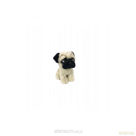 Mops 18 cm