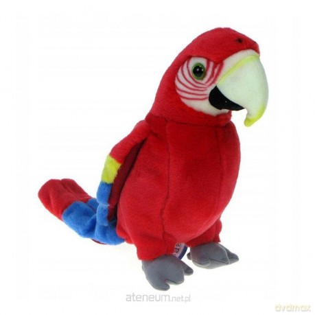 Papuga czerwona 25 cm