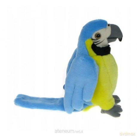 Papuga niebieska 25 cm