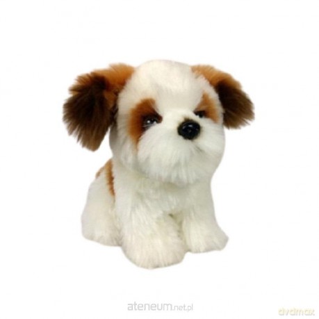 Pies Shih Tzu 18 cm