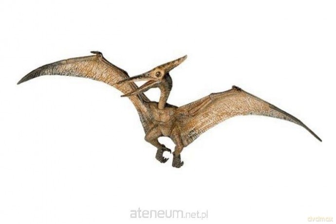 Pteranodon [FIGURKA]
