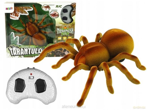 Zdalnie sterowany pająk tarantula