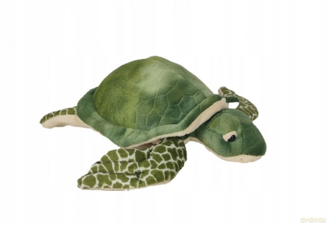 Żółw 24 cm