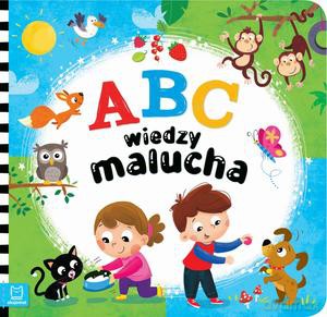 ABC wiedzy malucha - Sylwia Kajdana [KSIĄŻKA]