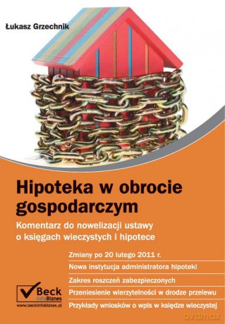 Hipoteka w obrocie gospodarczym - Grzechnik [KSIĄŻKA]