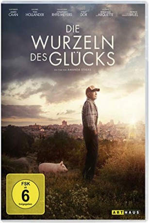 Holy Lands (Ziemia Święta) [DVD]