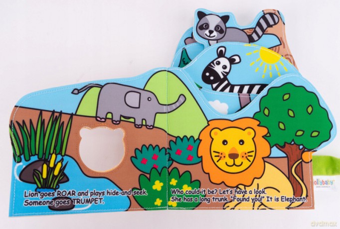 Lion Cloth Book