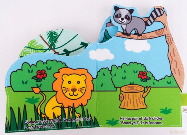 Lion Cloth Book