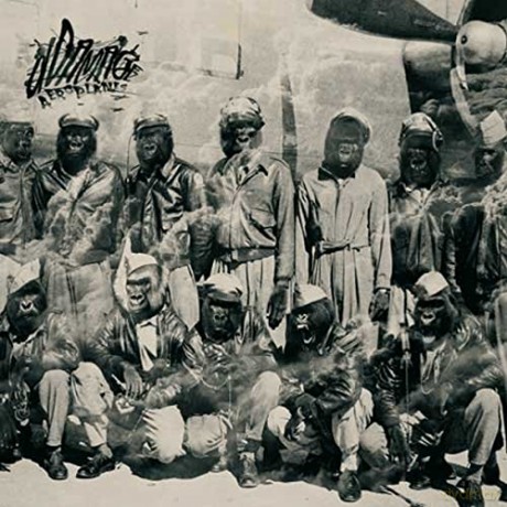 Ddamage: Aeroplanes [CD]