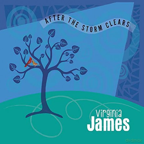 Virginia James: After the Storm Clears [CD]