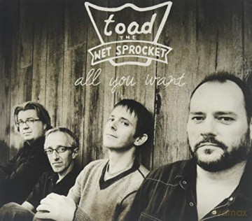 Toad The Wet Sprocket: All You Want - Best Of [CD]