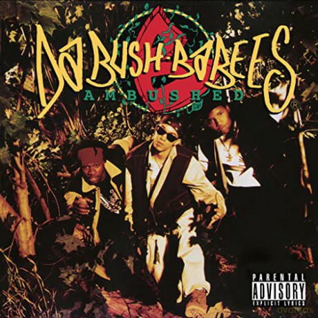 Ambushed: Ambushed [CD]