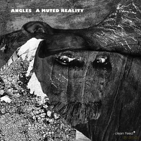 Angles A Muted Reality [CD]