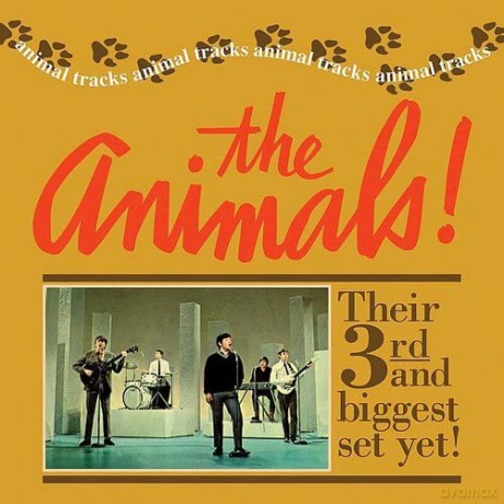 Animals: Animal Tracks [CD]