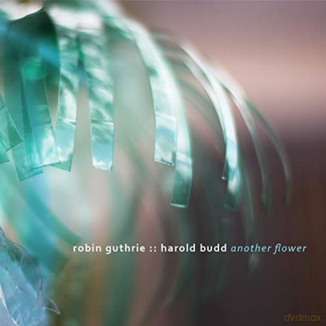 Another Flower [CD]