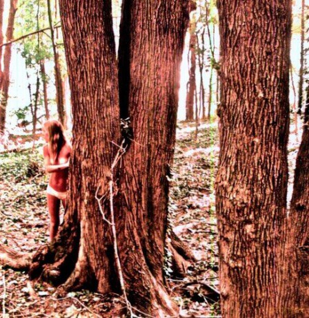 Anthony Green-Family Things [CD]