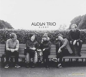 Audun Trio-Elegy [CD]
