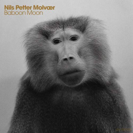 Nils Petter Molvaer: Baboon Moon [CD]