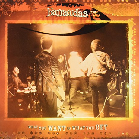Barracudas: Barracudas - What You Want Is What You Get [CD]