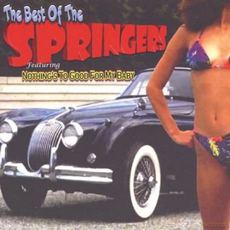 Springers: Best Of Springers: Nothing Too Good For My Baby [CD]