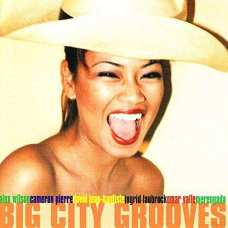Big City Grooves [CD]